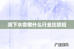 涧下水命做什么行业比较旺
