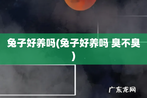 兔子好养吗 臭不臭 兔子好养吗