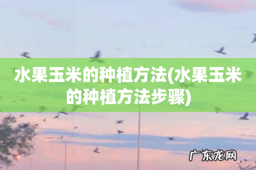 水果玉米的种植方法步骤 水果玉米的种植方法