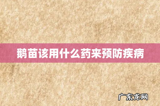 鹅苗该用什么药来预防疾病