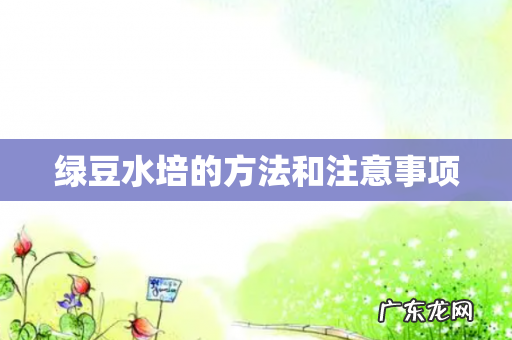 绿豆水培的方法和注意事项