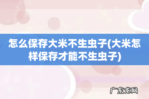 大米怎样保存才能不生虫子 怎么保存大米不生虫子