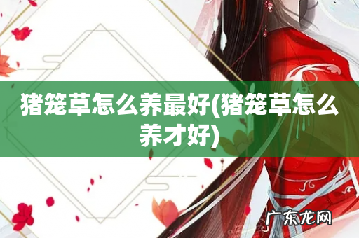 猪笼草怎么养才好 猪笼草怎么养最好