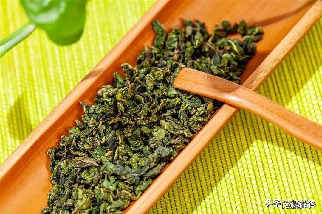 桑树种植的风水 桑叶在家里风水