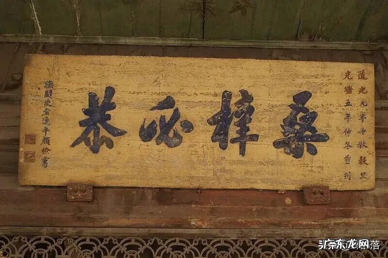 桑树种植的风水 桑叶在家里风水