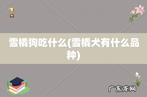 雪橇犬有什么品种 雪橇狗吃什么