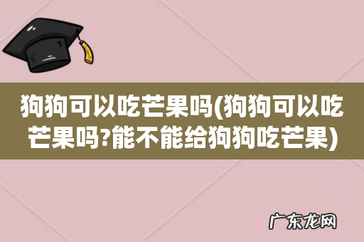 狗狗可以吃芒果吗?能不能给狗狗吃芒果 狗狗可以吃芒果吗