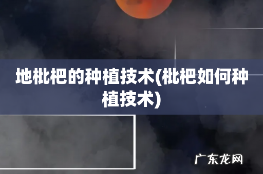 枇杷如何种植技术 地枇杷的种植技术