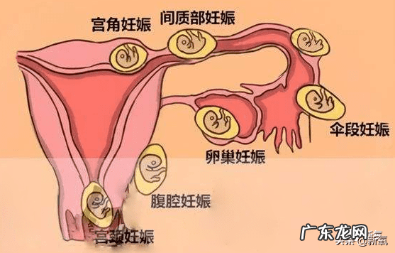 想怀男孩男方孕前准备 怀孕男人