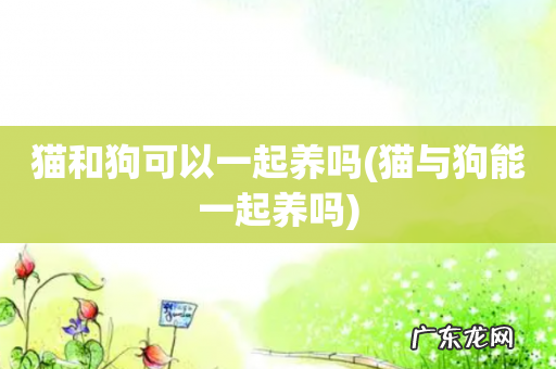 猫与狗能一起养吗 猫和狗可以一起养吗