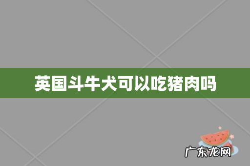 英国斗牛犬可以吃猪肉吗
