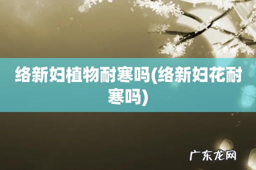 络新妇花耐寒吗 络新妇植物耐寒吗