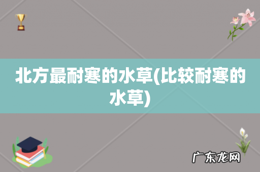 比较耐寒的水草 北方最耐寒的水草