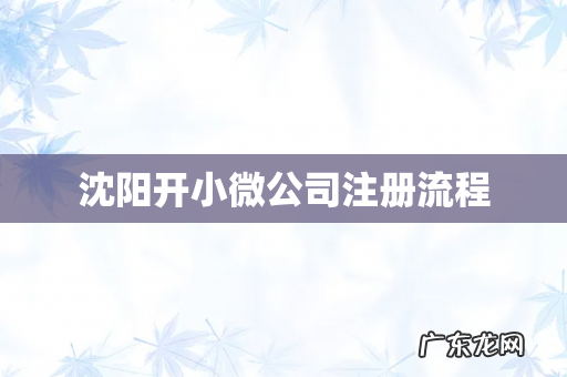 沈阳开小微公司注册流程