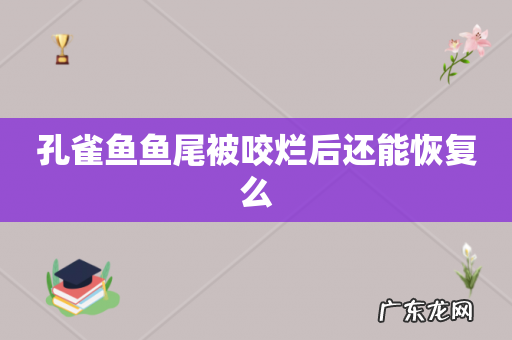孔雀鱼鱼尾被咬烂后还能恢复么