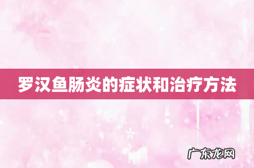 罗汉鱼肠炎的症状和治疗方法