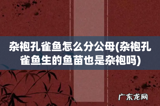 杂袍孔雀鱼生的鱼苗也是杂袍吗 杂袍孔雀鱼怎么分公母