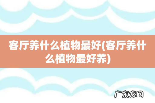 客厅养什么植物最好养 客厅养什么植物最好