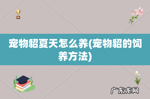 宠物貂的饲养方法 宠物貂夏天怎么养