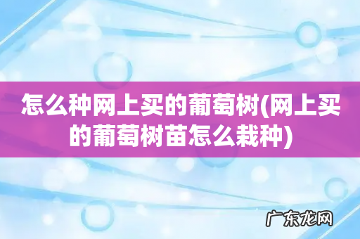 网上买的葡萄树苗怎么栽种 怎么种网上买的葡萄树