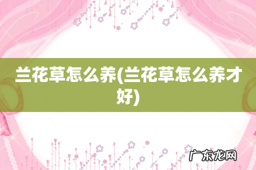 兰花草怎么养才好 兰花草怎么养