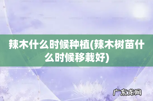 辣木树苗什么时候移栽好 辣木什么时候种植
