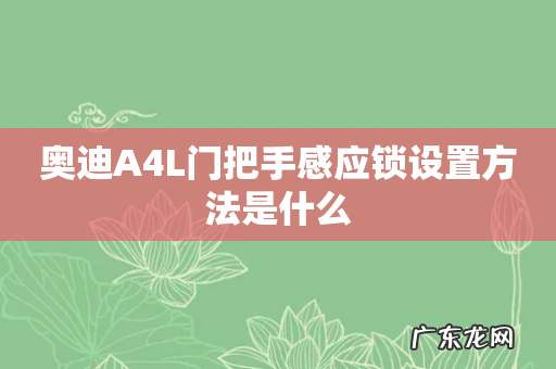 奥迪A4L门把手感应锁设置方法是什么