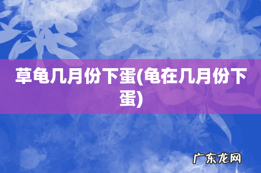 龟在几月份下蛋 草龟几月份下蛋