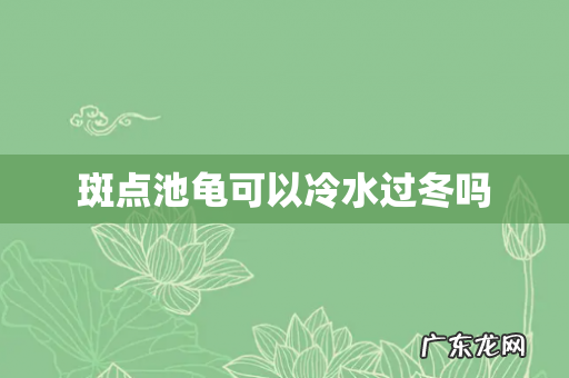 斑点池龟可以冷水过冬吗