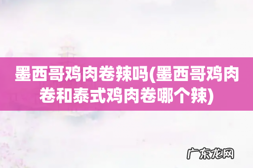 墨西哥鸡肉卷和泰式鸡肉卷哪个辣 墨西哥鸡肉卷辣吗