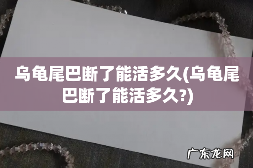 乌龟尾巴断了能活多久? 乌龟尾巴断了能活多久