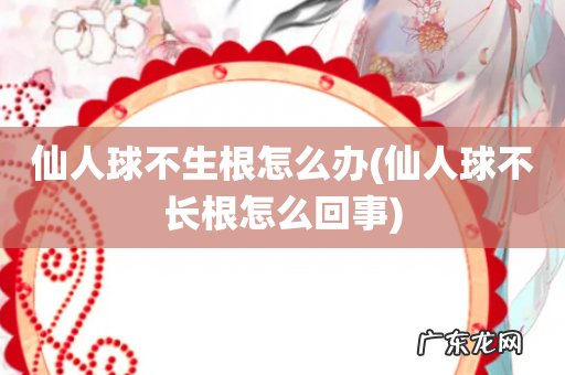 仙人球不长根怎么回事 仙人球不生根怎么办