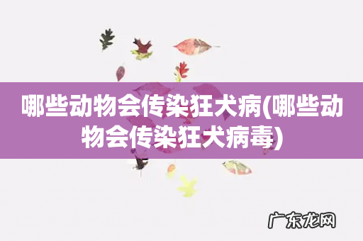 哪些动物会传染狂犬病毒 哪些动物会传染狂犬病