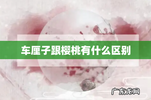 车厘子跟樱桃有什么区别