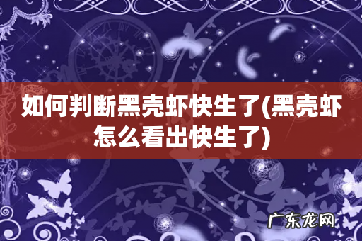 黑壳虾怎么看出快生了 如何判断黑壳虾快生了