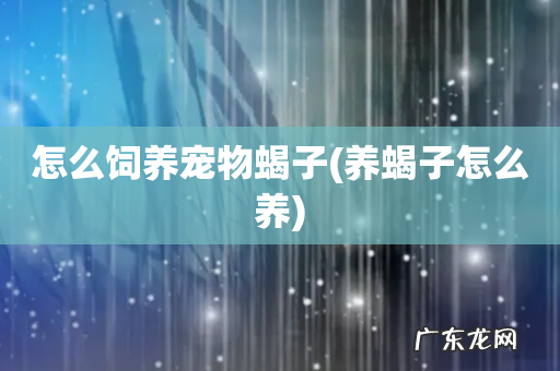 养蝎子怎么养 怎么饲养宠物蝎子