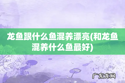 和龙鱼混养什么鱼最好 龙鱼跟什么鱼混养漂亮