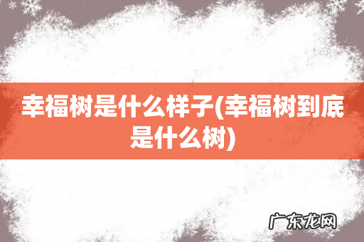 幸福树到底是什么树 幸福树是什么样子