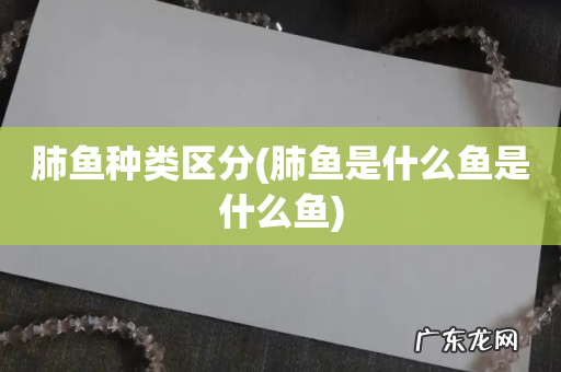 肺鱼是什么鱼是什么鱼 肺鱼种类区分