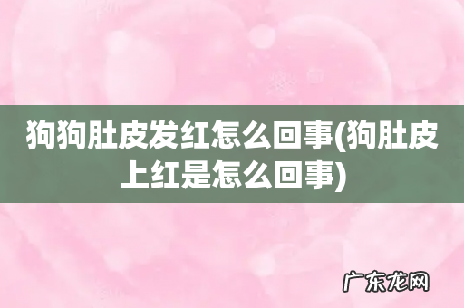 狗肚皮上红是怎么回事 狗狗肚皮发红怎么回事