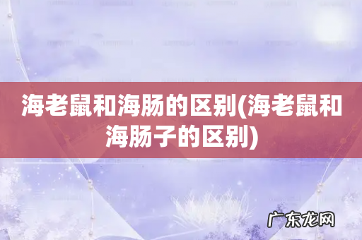 海老鼠和海肠子的区别 海老鼠和海肠的区别