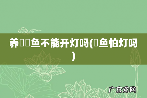 魟鱼怕灯吗 养鳑鲏鱼不能开灯吗