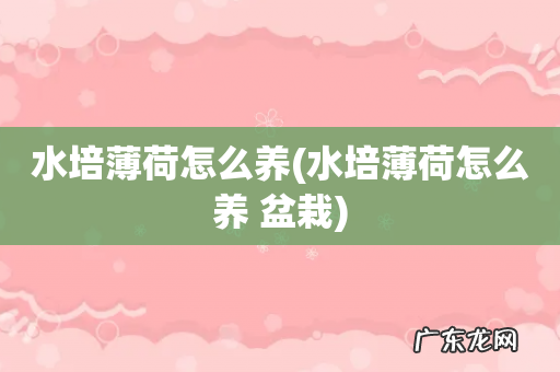 水培薄荷怎么养 盆栽 水培薄荷怎么养