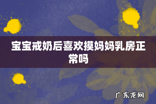 宝宝戒奶后喜欢摸妈妈乳房正常吗