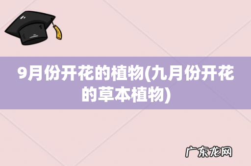 九月份开花的草本植物 9月份开花的植物