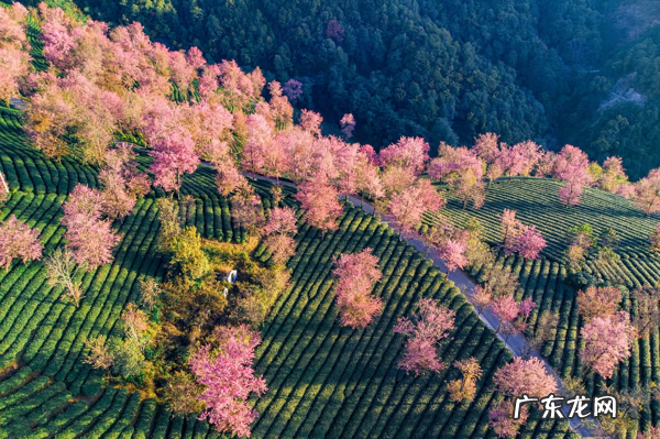 冬天旅游好地方推荐 冬天有哪些旅游的好地方