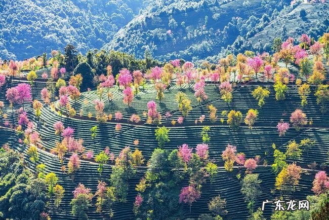 冬天旅游好地方推荐 冬天有哪些旅游的好地方