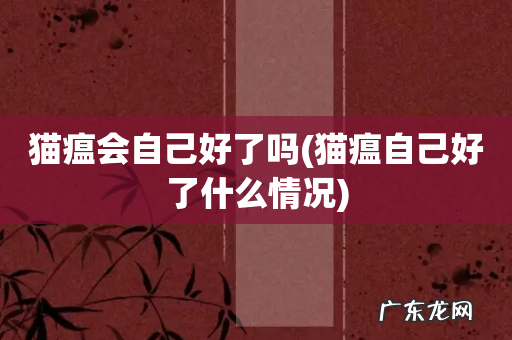 猫瘟自己好了什么情况 猫瘟会自己好了吗