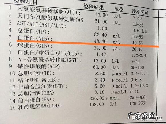 白蛋白偏低36严重吗 白蛋白低多少算严重