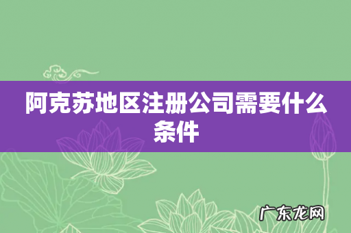 阿克苏地区注册公司需要什么条件